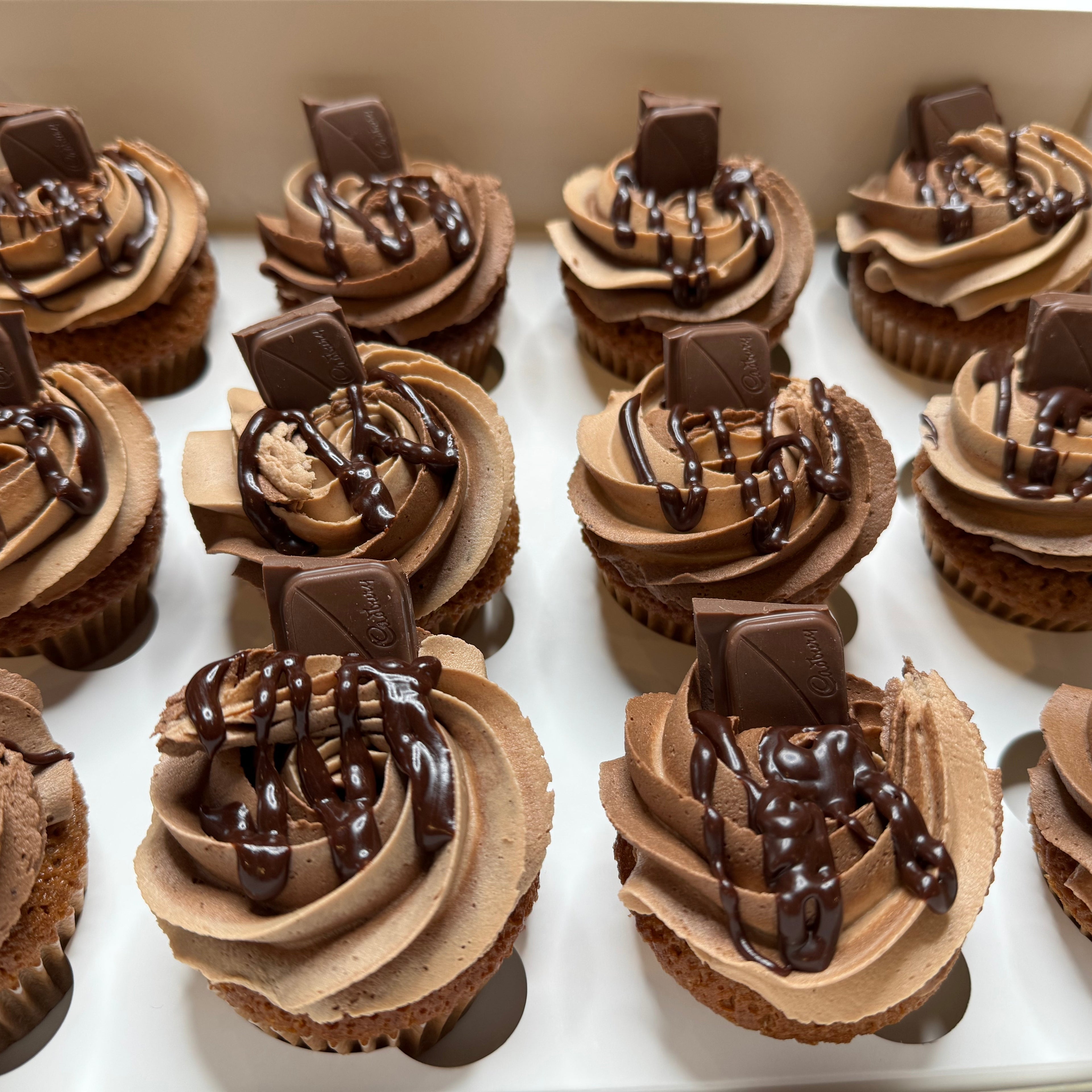 Chocolate Cupcakes
