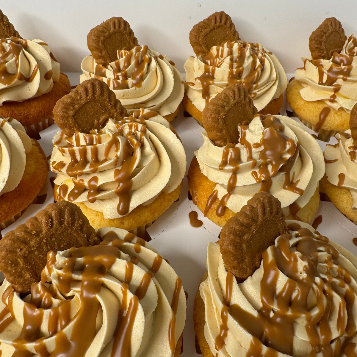 Biscoff Cupcakes